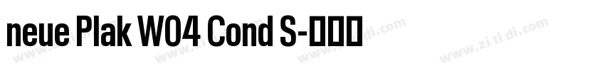 neue Plak W04 Cond S字体转换